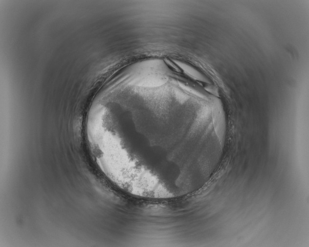 X0000111200066200907291239