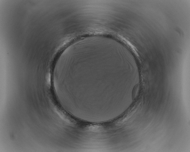 X0000111200067200907291239