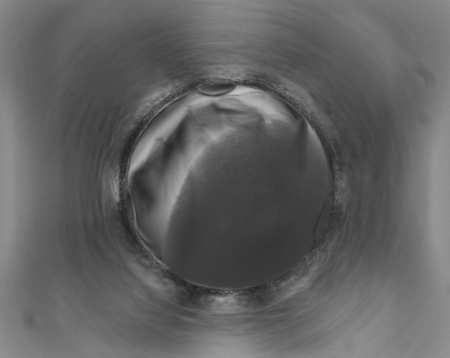 X0000111200068200907291239