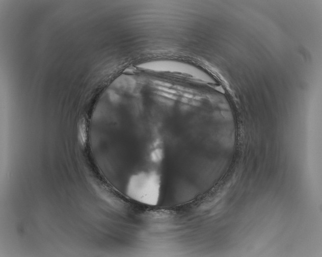 X0000111200069200907291239