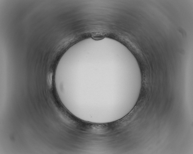 X0000111200070200907291239