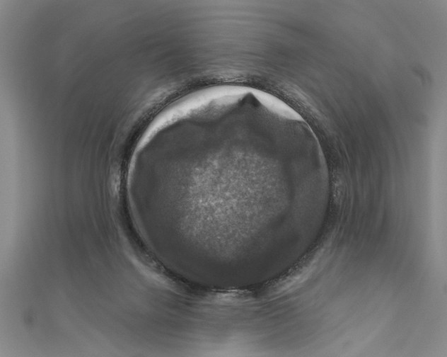 X0000111200072200907291239