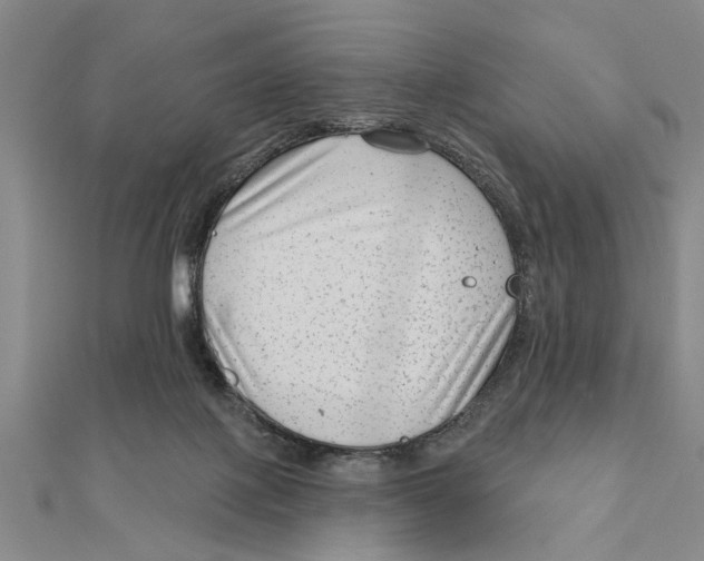 X0000111200075200907291239