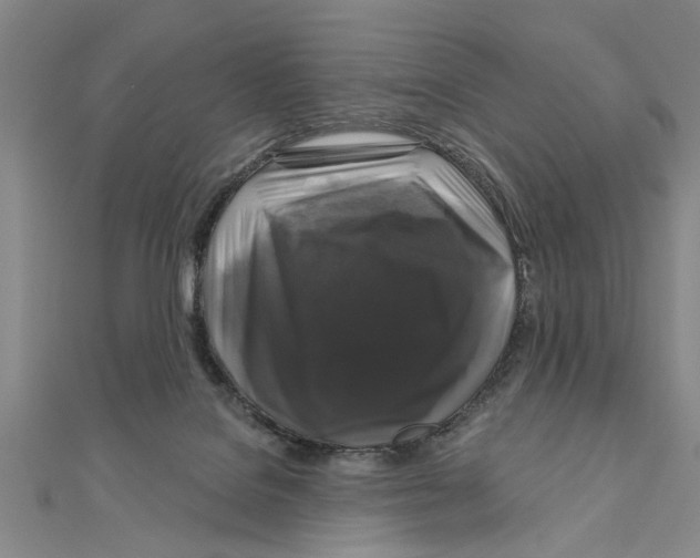 X0000111200076200907291239