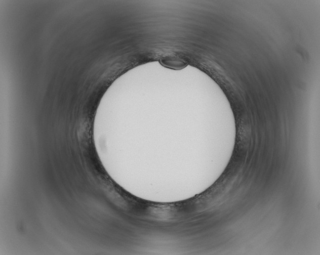 X0000111200079200907291239