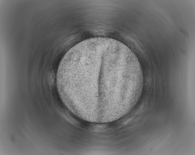 X0000111200081200907291239