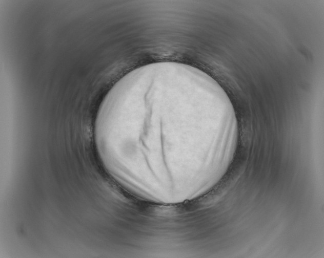 X0000111200085200907291239