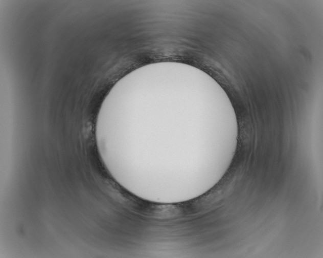 X0000111200087200907291239