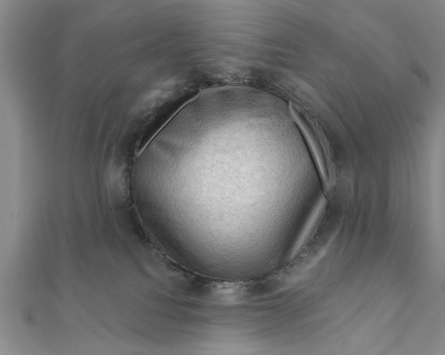 X0000111200088200907291239