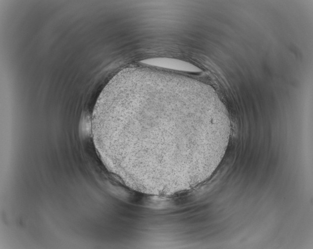 X0000111200095200907291239