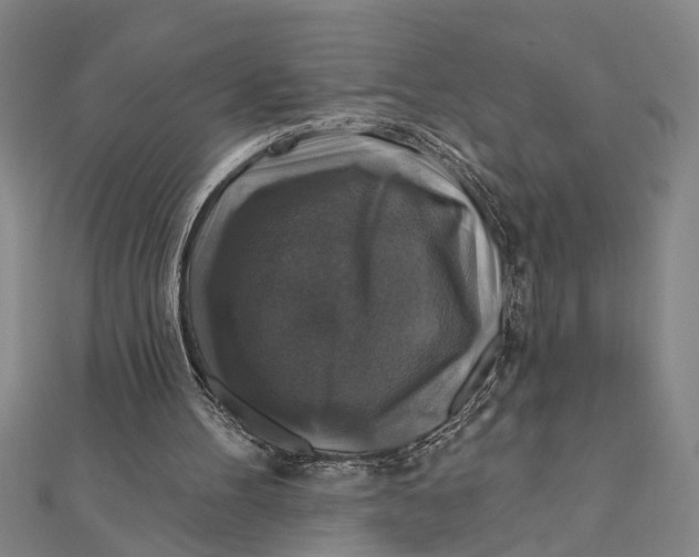 X0000111200100200907291238