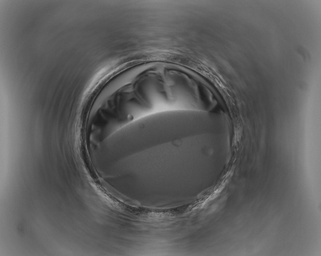 X0000111200101200907291238