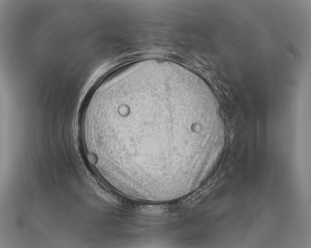 X0000111200102200907291238