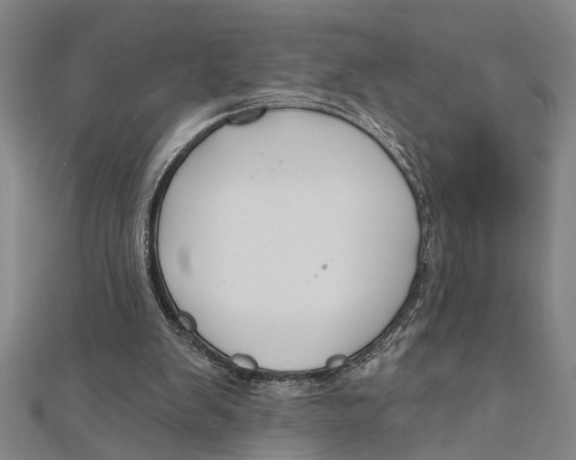 X0000111200103200907291238