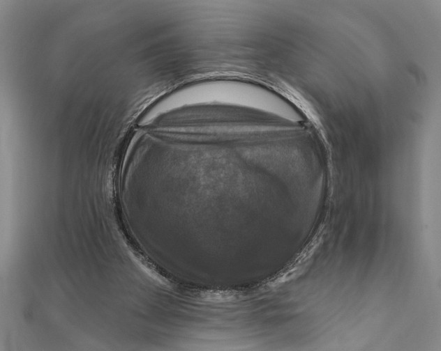 X0000111200105200907291238