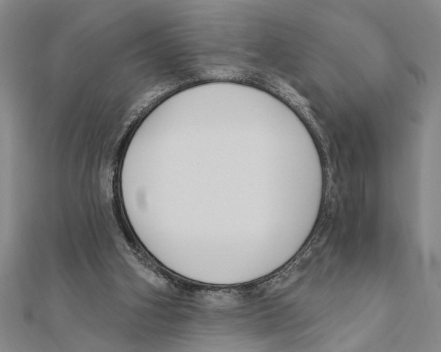 X0000111200106200907291238