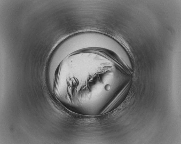 X0000111200108200907291238