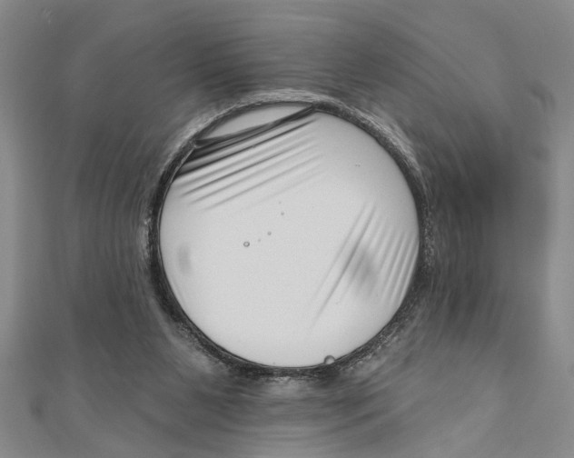 X0000111200111200907291238