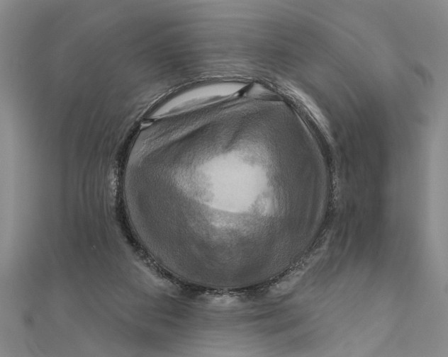 X0000111200113200907291238