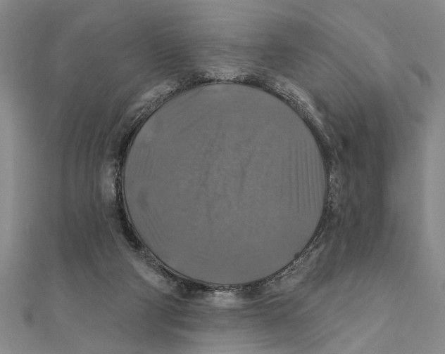 X0000111200114200907291238