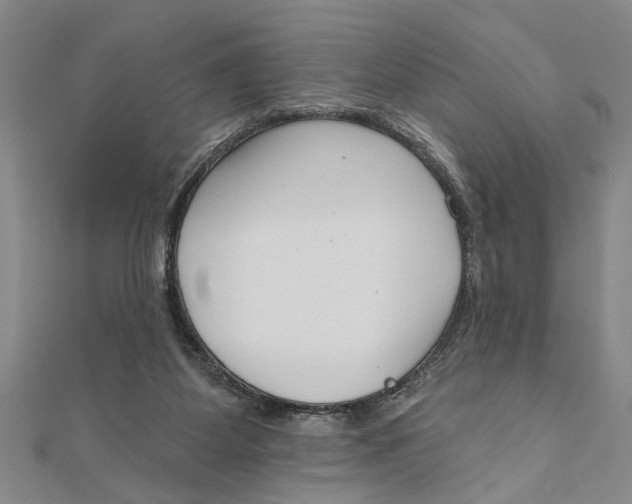 X0000111200115200907291238