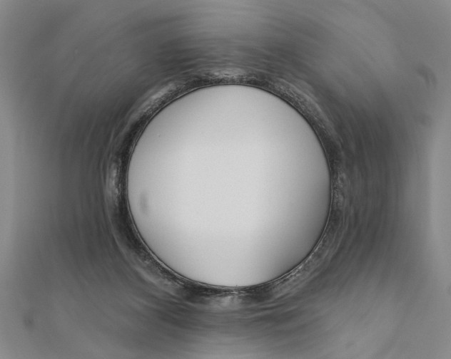 X0000111200116200907291238