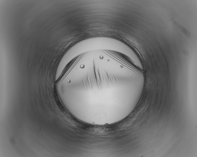 X0000111200121200907291238