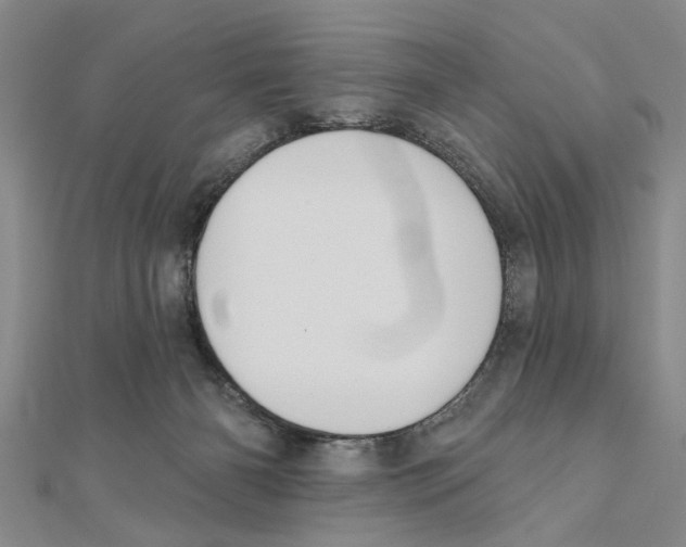 X0000111200126200907291238