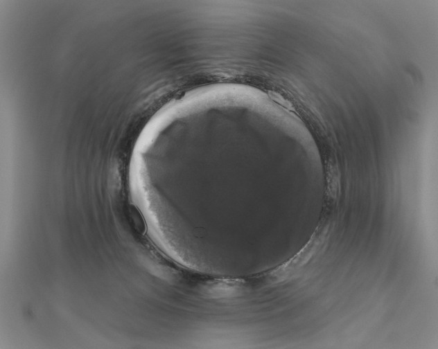 X0000111200128200907291238