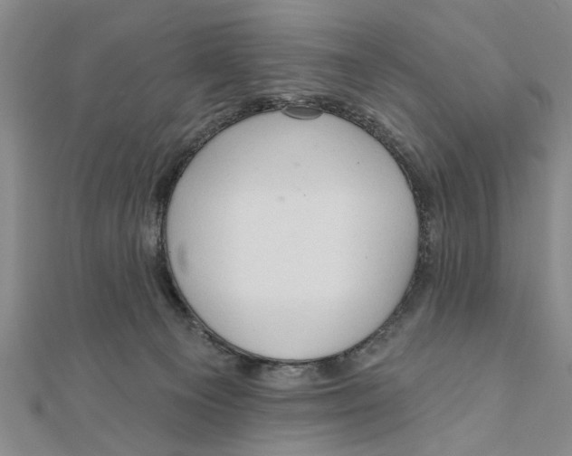 X0000111200129200907291238