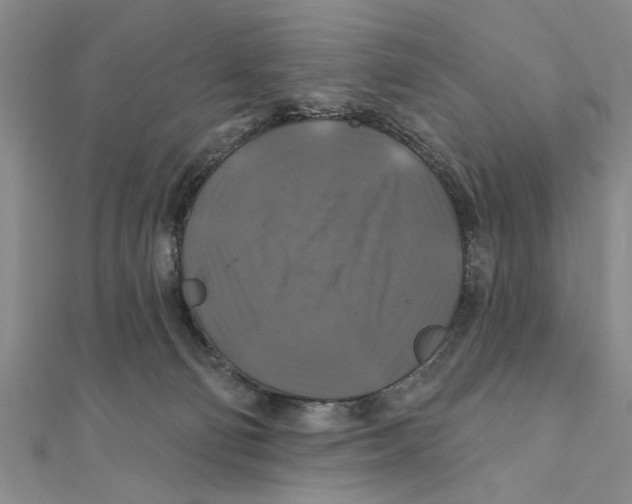 X0000111200130200907291238