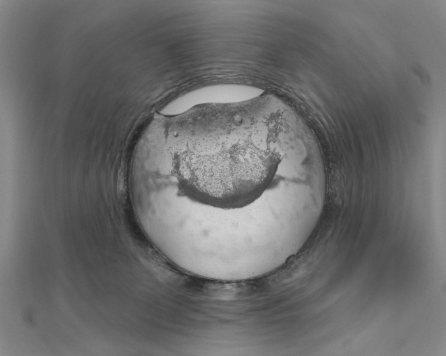 X0000111200131200907291238