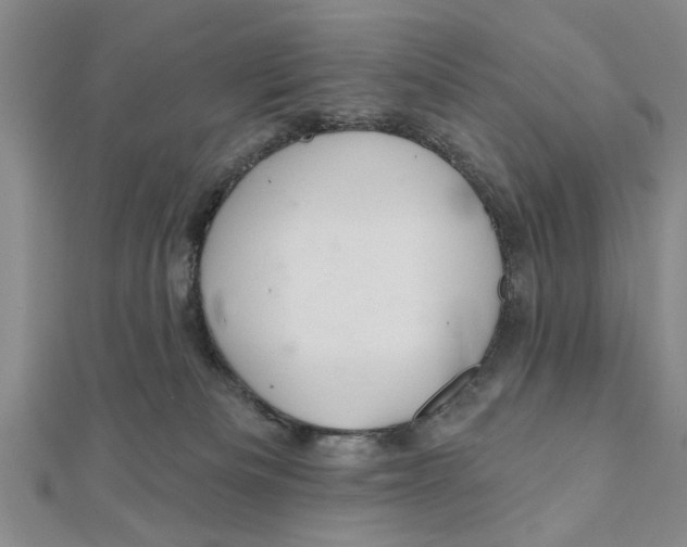 X0000111200133200907291238