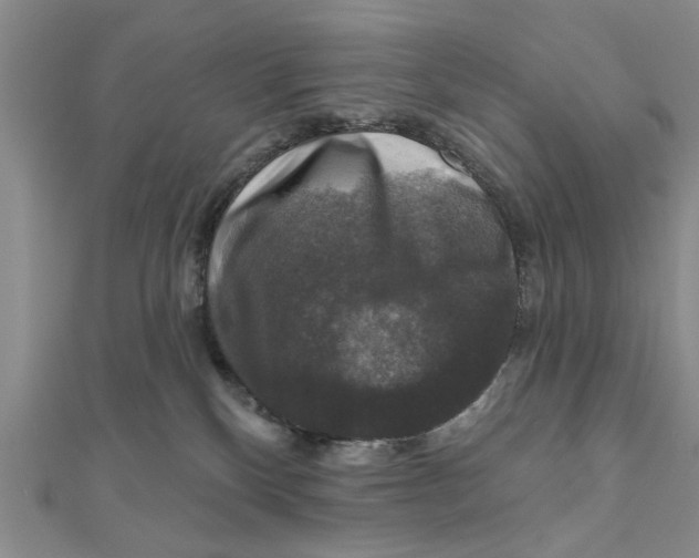 X0000111200136200907291238