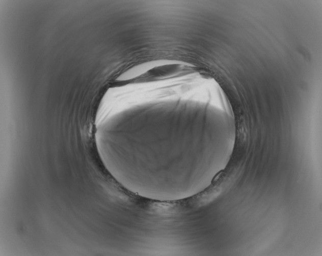 X0000111200139200907291238