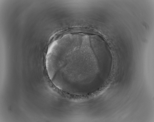 X0000111200144200907291238