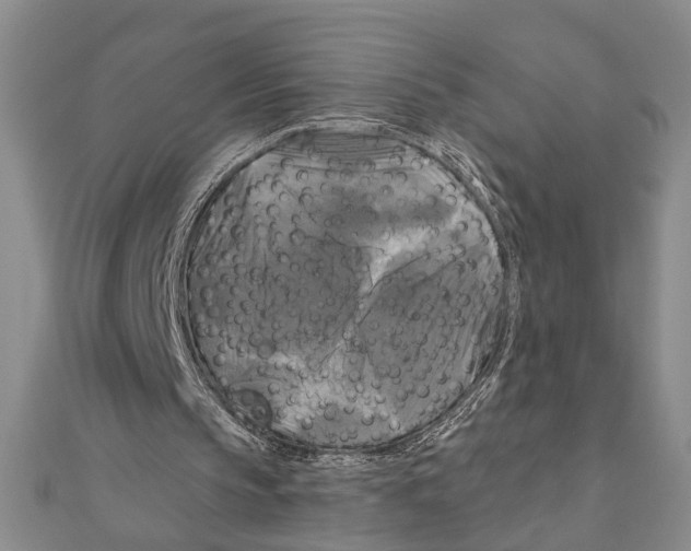 X0000111200145200907291237