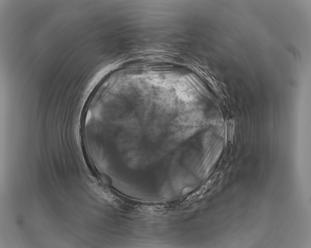 X0000111200147200907291237