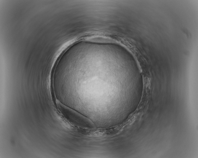 X0000111200148200907291237