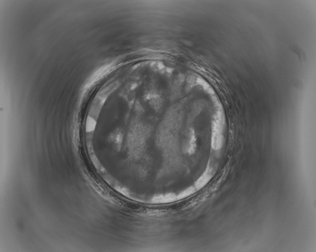 X0000111200149200907291237