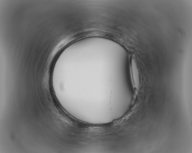 X0000111200150200907291237