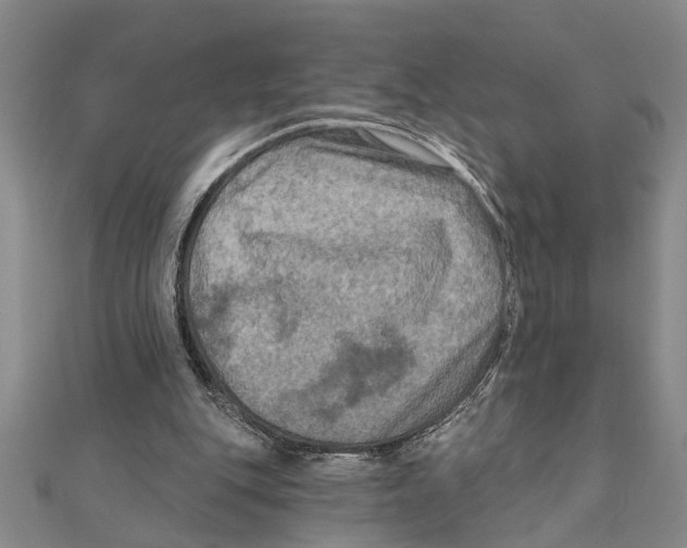 X0000111200151200907291237