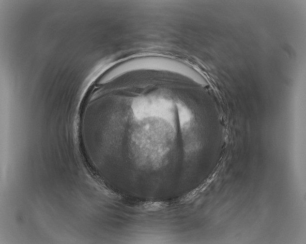 X0000111200152200907291237