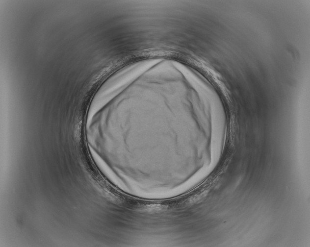 X0000111200153200907291237