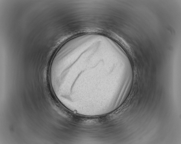 X0000111200155200907291237