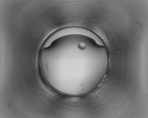 X0000111200156200907291237