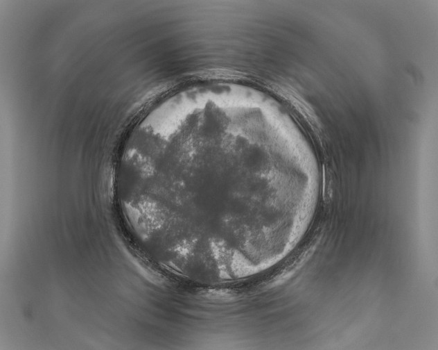 X0000111200157200907291237