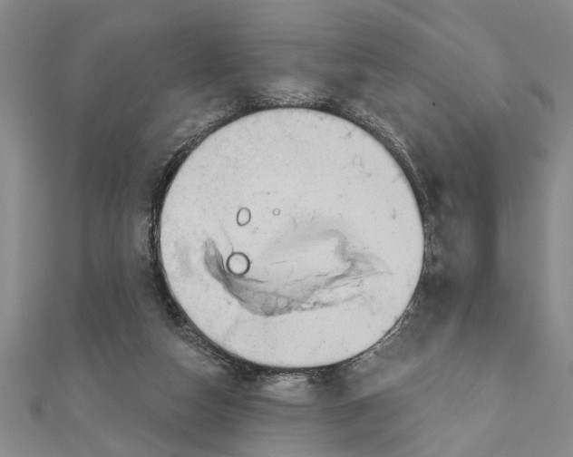 X0000111200162200907291237