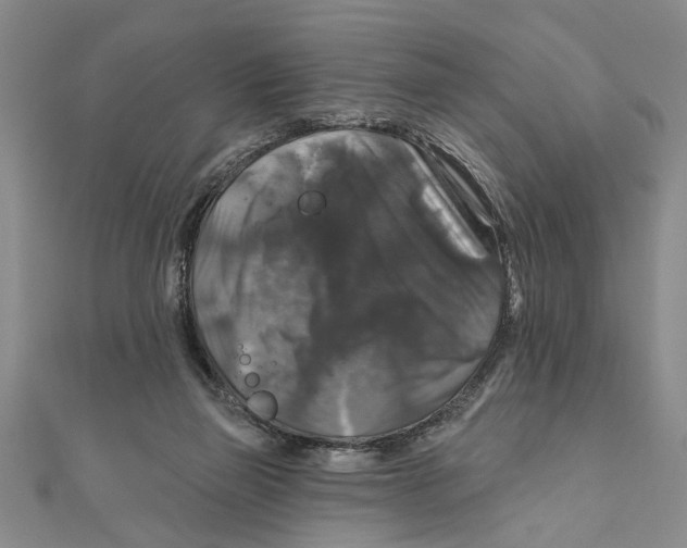 X0000111200165200907291237