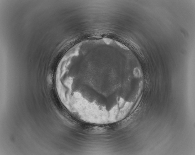 X0000111200166200907291237